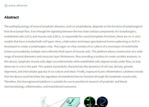 Lab on a Chip Publication