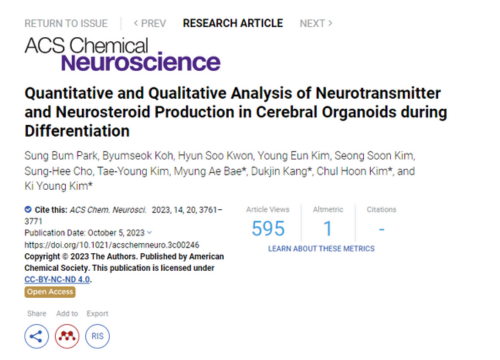 Quantitative and Qualitative Analysis of Neurotransmitter and Neurosteroid Production in Cerebral Organoids during Differentiation