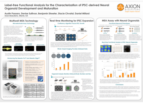 Label-free Functional Analysis for the Characterization of iPSC-derived Neural Organoid Development and Maturation