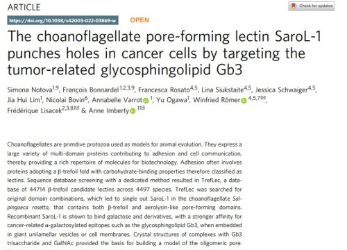 Communications Biology Publication, Sept 2022