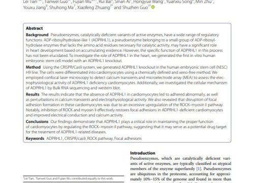 Stem Cell Research and Therapy Publication, Oct. 2023