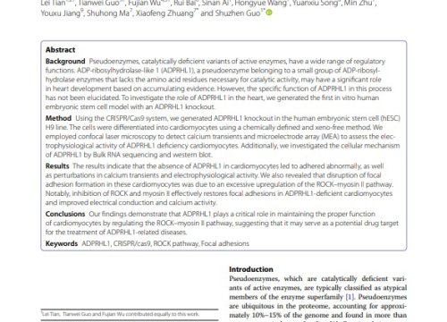 Stem Cell Research and Therapy Publication, Oct. 2023