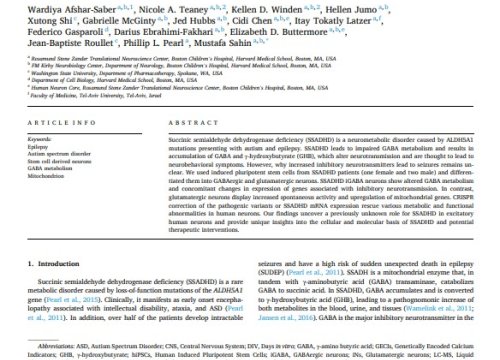 Neurobiology of Disease Publication, January 2024