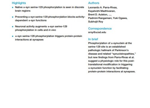 Neuron Publication, December 2023