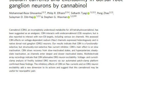 Communications Biology Publication, Jan 2024