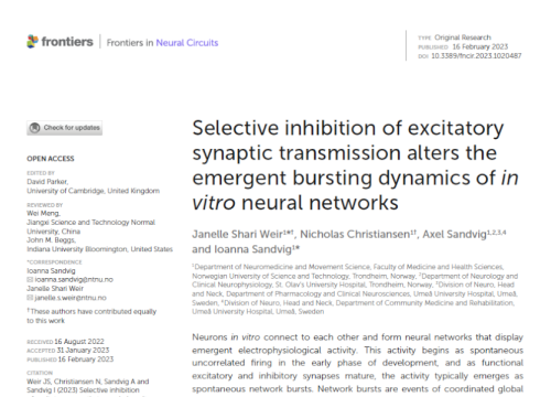 2023 Frontiers in neuroscience Selective inhibition of excitatory synaptic transmission