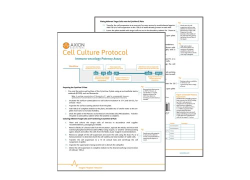 IO culture protocol