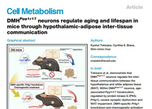 Cell Metabolism Publication, January 2024