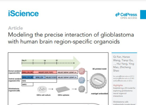 iScience Publication, 06 Feb 2024