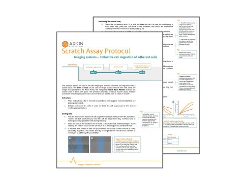 Scratch Assay protocol for Axion imaging devices