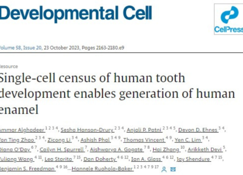 Developmental Cell Publication, 23 October 2023
