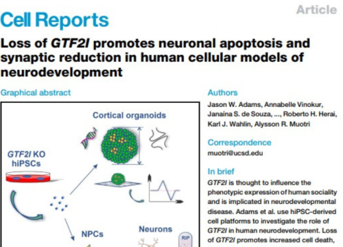 Cell Reports Publication, Feb 2024