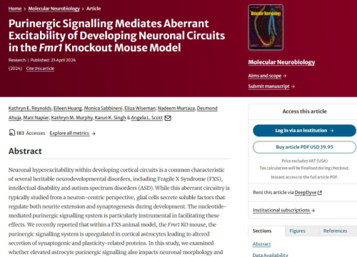 Molecular Neurobiology, 23 April 2024