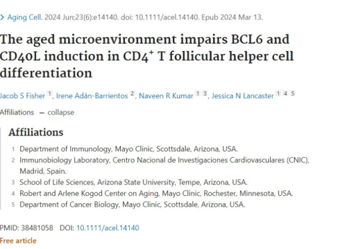 Aging Cell, 13 March 2024