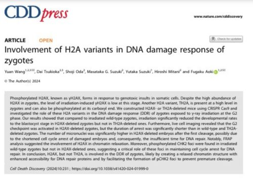 CDD Publication, May 2024