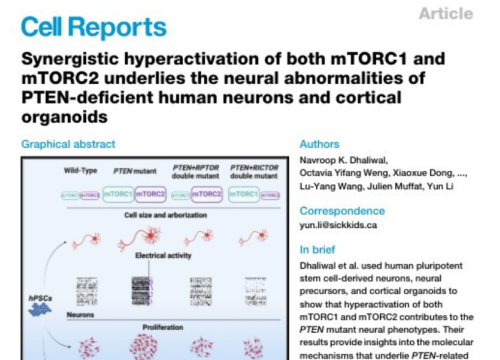 Cell Reports Publication, May 2024