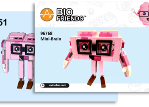 Mini-Brain Brick Building Blueprint Download
