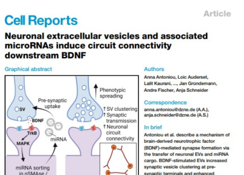Cell Reports, 06 February 2023