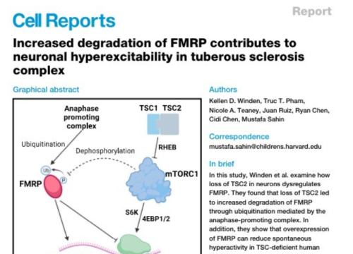 Cell Reports, 29 August 2023