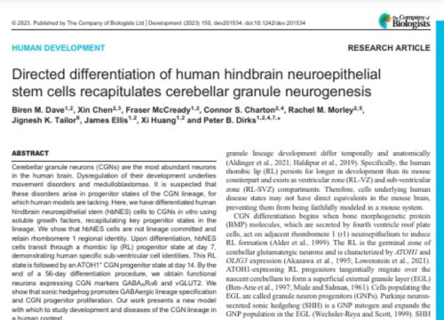 Human Development, 07 July 2023