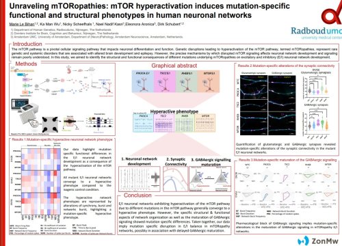 Marie Le Bihan at the Federation of European Neuroscience Societies (FENS) Forum 2024