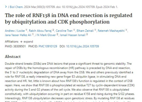 The Journal of Biological Chemistry, 1 February 2024