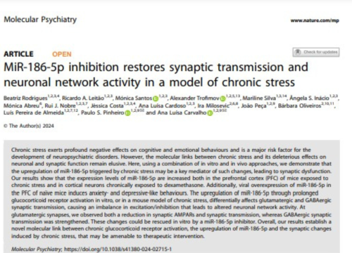 Molecular Psychiatry, 05 September 2024