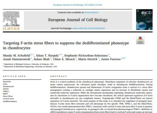 European Journal of Cell Biology, 25 May 2024