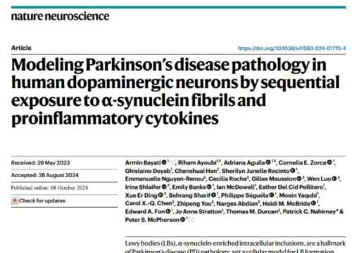Nature Neuroscience, 08 October 2024