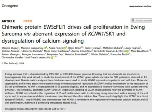 Oncogene, 01 November 2024