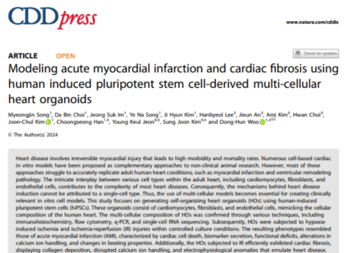 Cell Death & Disease, 01 May 2024