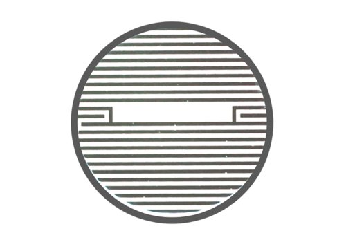 CytoView Z plate from Axion BioSystems for impedance assays on Maestro Z systems