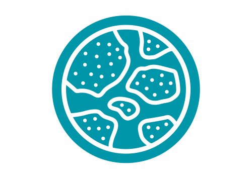 iPSC software module for stem cell imaging on the Omni system
