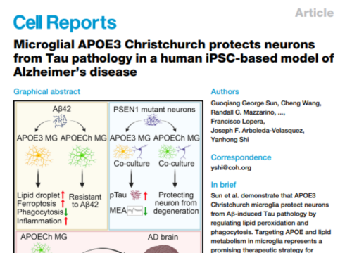 Cell Reports, 24 December 2024