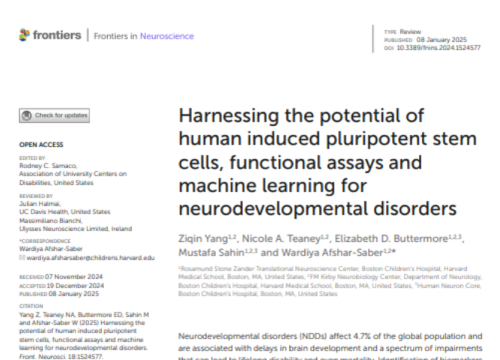 Frontiers in Neuroscience, 07 January 2025