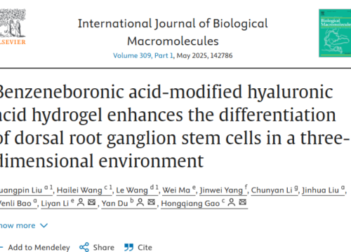 International Journal of Biological Macromolecules, 2 April 2025