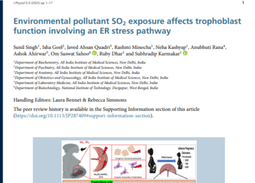 The Journal of Physiology, 21 February 2025