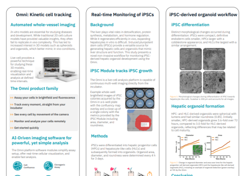 A novel non-invasive workflow for differentiation and characterization of iPSC-derived hepatic organoids