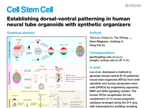 Cell Stem Cell, 14 May 2025