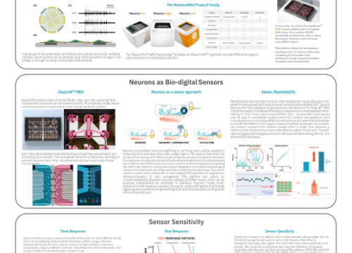 Characterization of an integrated platform using sensory neurons as bio-digital sensors for PNS applications