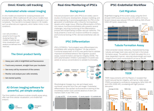 Development and Functional Assessment of iPSC-derived Endothelial Cells using a Novel Non-Invasive Workflow