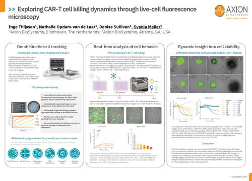 Exploring CAR-T cell killing dynamics through live-cell fluorescence microscopy