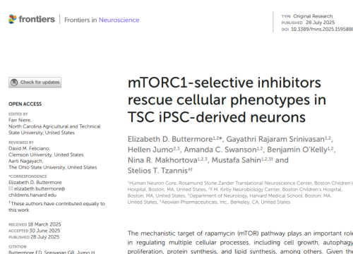 Frontiers in Neuroscience, 27 July 2025