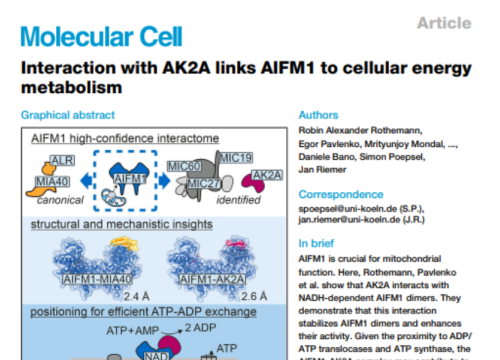 Molecular Cell, 03 July 2025