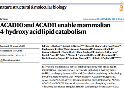 Nature Structural & Molecular Biology, 19 June 2025
