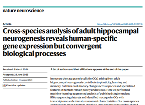 Nature Neuroscience, 11 August 2025