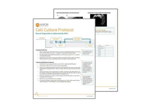 Neural Organoids on SpheroGuide MEA