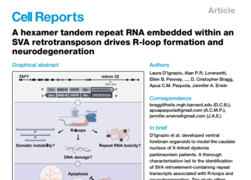 Cell Reports, 22 July 2025