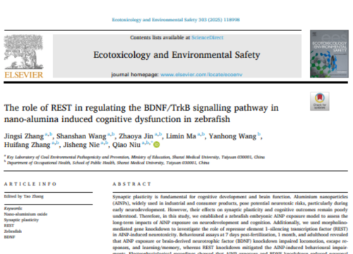 Ecotoxicology and Environmental Safety, 4 September 2025