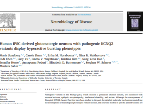 Neurobiology of Disease, 25 September 2025